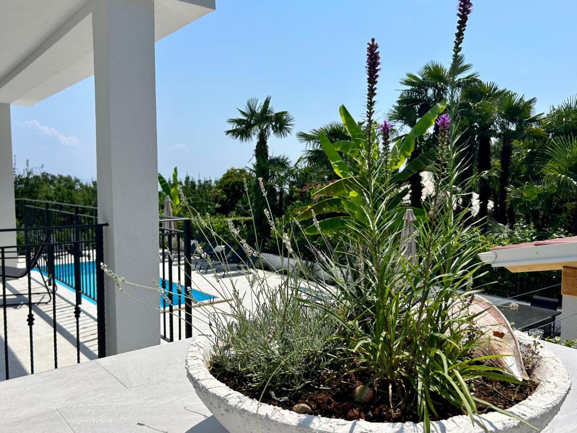Villa Palma Lovran Exterior foto